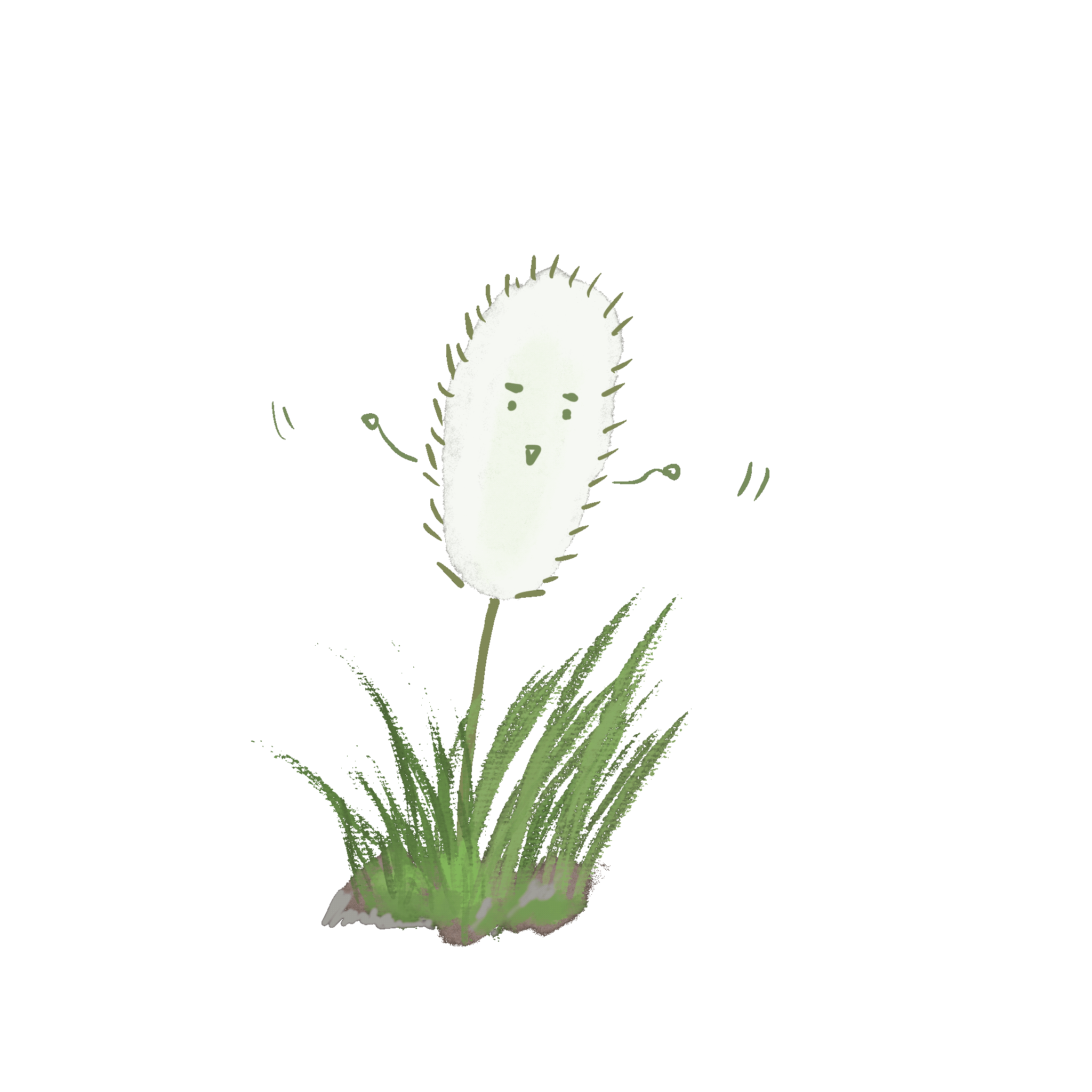Foxtail Grass